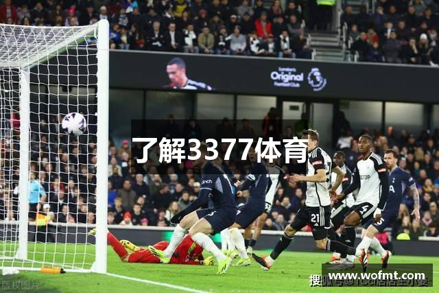 了解3377体育